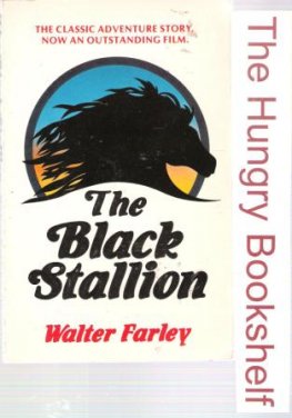 FARLEY, Walter : The Black Stallion : PB Horse Pony Book